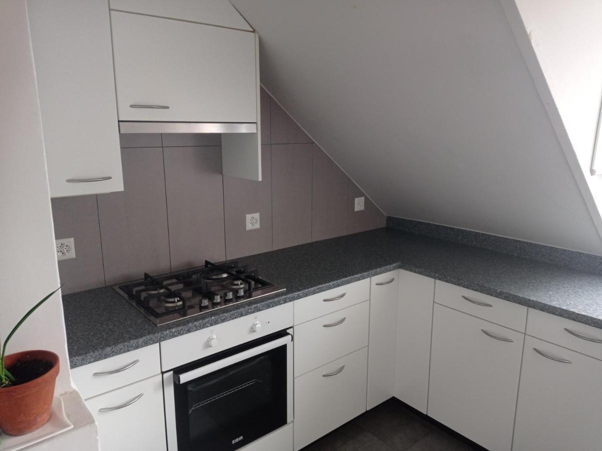 Gemuetliche Dachwohnung Saint-Gall Extérieur photo