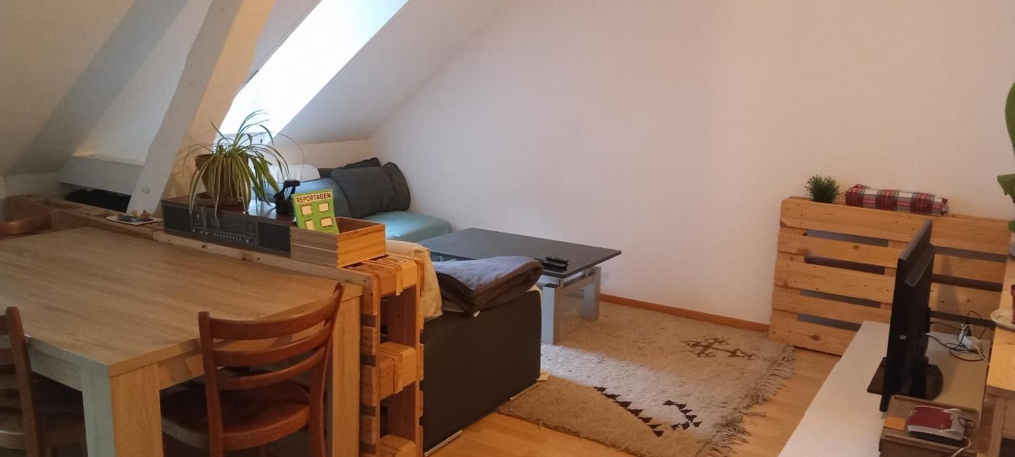 Gemuetliche Dachwohnung Saint-Gall Extérieur photo